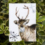 Inky Reindeer Christmas Postcards, thumbnail 1 of 5