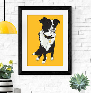 Pet Portraits | notonthehighstreet.com