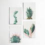 Set Of Four Nature Postcards. Still Life, thumbnail 1 of 8