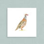 Game Animals Greetings Cards, thumbnail 8 of 8