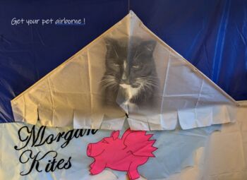 Custom Printed Delta Kite, 6 of 10