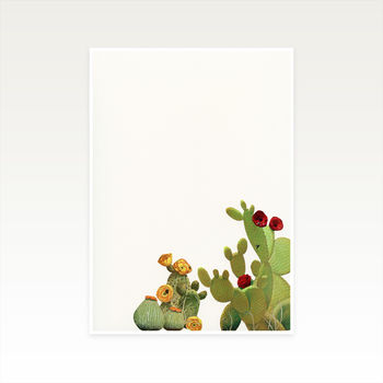 Cactus Garden Ii Nature Art Print, 3 of 12