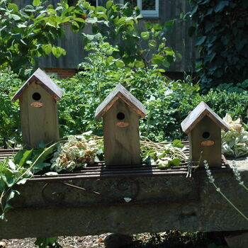 Fsc Certified Pinewood Wooden Blue Tit Bird House, 4 of 4