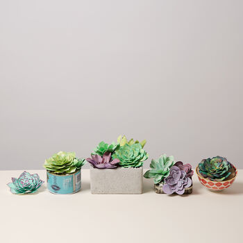 Paper Succulent Making Kit, 6 of 12