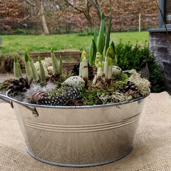Spring Bulbs Zinc Planter Gift Wrapped, 2 of 9