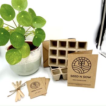 Grow Your Own Flowers And House Plants Seed Kit, 3 of 4
