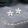 Sterling Silver Jasmine Flower Stud Earrings, thumbnail 1 of 12