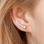 Silver Plated Crystal Ear Climber Earrings, thumbnail 1 of 3