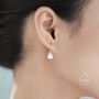 Guinea Pig Drop Hook Earrings In Sterling Silver, thumbnail 5 of 11