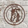 Personalised Metal Horse Stable Door Name Plate, thumbnail 2 of 2