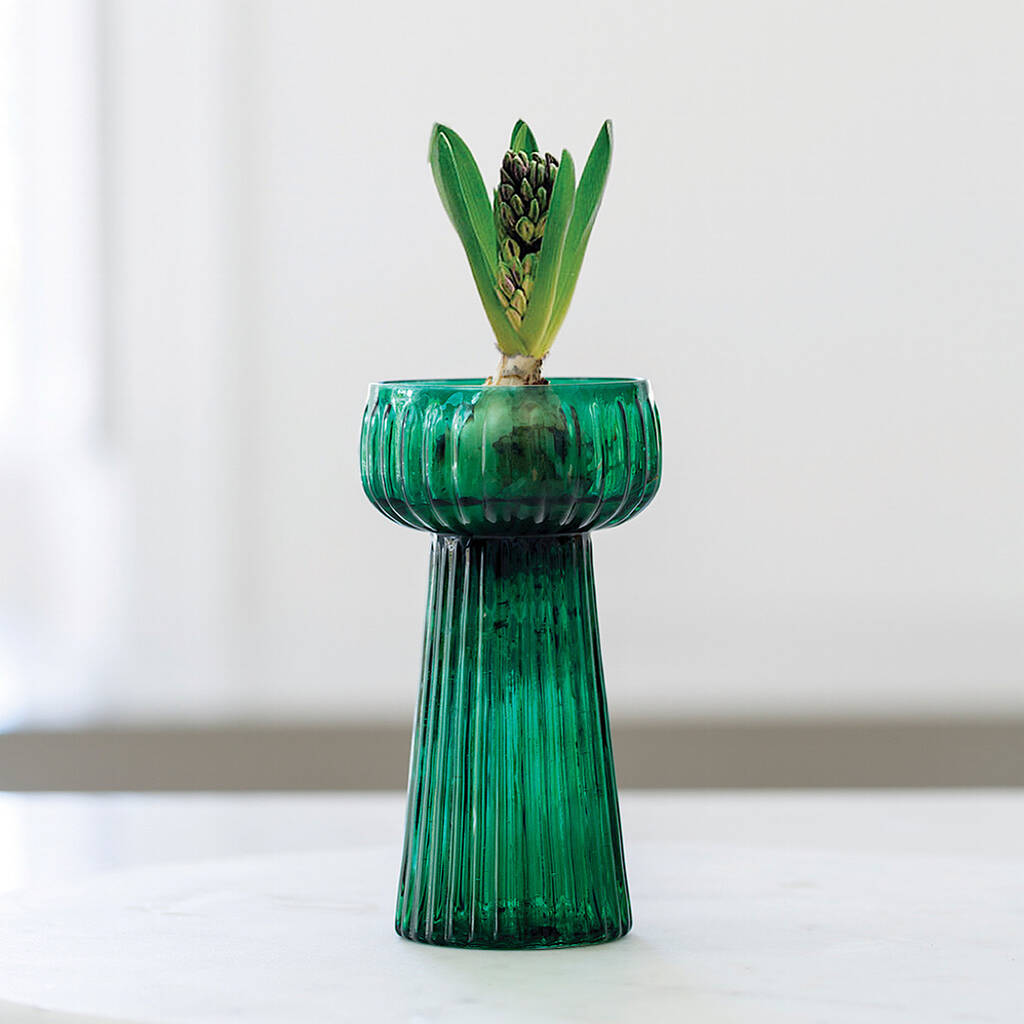 Apple Green Ribbed Hyacinth Vase