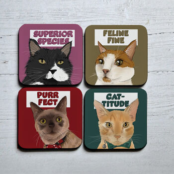 Funny Cat Coasters, 2 of 8
