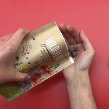 Wildflower Seed Packs For Pollinators And Garden Wildlife. Choose From Seven Varieties, 8 of 12