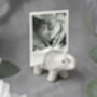 Send With Love Ceramic Elephant Photo Holder, thumbnail 1 of 5