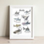 Sharks Of The Oceans Illustrated Watercolour Art Print, thumbnail 4 of 4