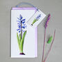 Botanical Card With Hyacinth Illustration, thumbnail 2 of 2
