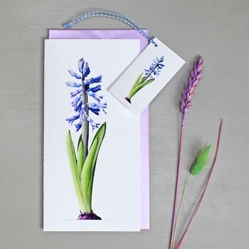 Botanical Card With Hyacinth Illustration, 2 of 2