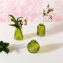 Set Of Three Bud Glass Vases, thumbnail 3 of 3