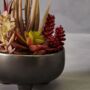 Mixed Succulents In Ceramic Pot, thumbnail 1 of 4