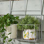 Set Of Two Iron Arch Wall Planters, thumbnail 5 of 7