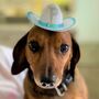Personalised Pet Cowboy Hat, thumbnail 3 of 8