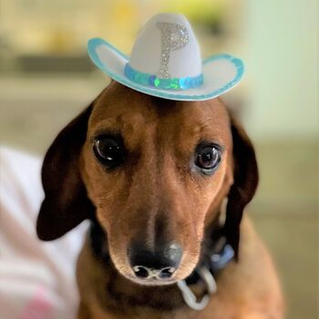 Personalised Pet Cowboy Hat, 4 of 8