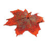 Canadian Maple Real Leaf Necklace, thumbnail 8 of 12