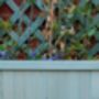 Rosemary Herb Set, thumbnail 3 of 6