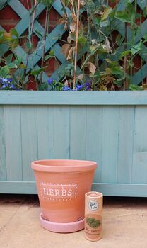 Rosemary Herb Set, 3 of 6