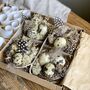 Handmade Miniature Nests With Real Blown Quail Eggs, thumbnail 1 of 9
