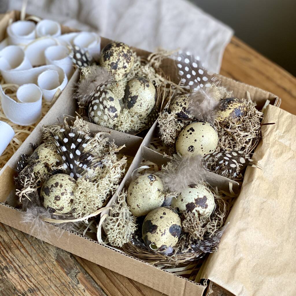 Handmade Miniature Nests With Real Blown Quail Eggs, 1 of 9