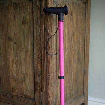 Pink Walking Stick, 4 of 7