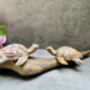 Double Painted Turtle Figurine Ornament – Root Sculpture, thumbnail 3 of 12