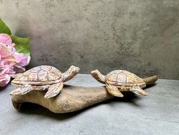 Double Painted Turtle Figurine Ornament – Root Sculpture, 3 of 12