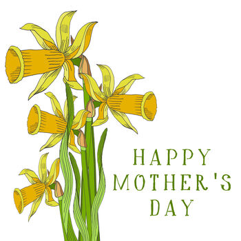 Daffodil Illustrated Mother's Day Card, 2 of 2