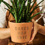 Personalised Plant Pot Gift For Him, thumbnail 6 of 7