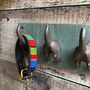 Pair Of Happy Tails Dog Tail Wall Hooks, thumbnail 9 of 9