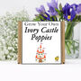 Gardening Gift. Grow Your Own Ivory Castle Poppies Kit, thumbnail 2 of 4