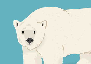 Personalised Polar Bear Print, 3 of 6