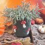 Handmade Felt Toadstool Plant Pot, thumbnail 2 of 2