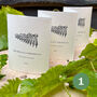 Grow Your Own Prosecco Style Sparkling Wine Gift Crate, thumbnail 3 of 11