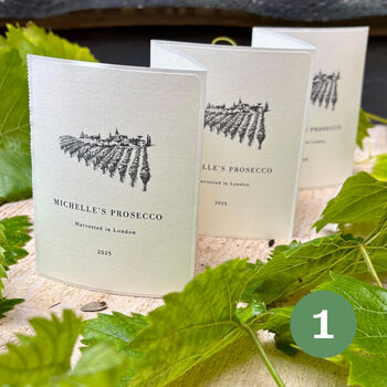 Grow Your Own Prosecco Style Sparkling Wine Gift Crate, 3 of 11