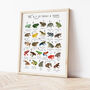 The A To Z Of Frogs And Toads Print, thumbnail 3 of 6