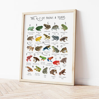 The A To Z Of Frogs And Toads Print, 3 of 6