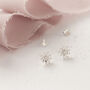 Little Sterling Silver Daisy Stud Earrings, thumbnail 1 of 11