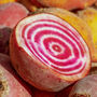 Gardening Gift. Rainbow Beetroot Growing Kit, thumbnail 3 of 4