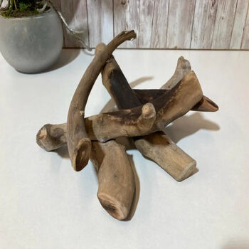 Small Molten Glass Nut Fruit Bowl On Driftwood Twig Home Decor Individual Gift, 2 of 8