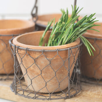 Wire Basket With Four Terracotta Pots, 2 of 2