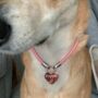 Personalised Rose Gold Heart Padlock Dog Tag, thumbnail 1 of 9