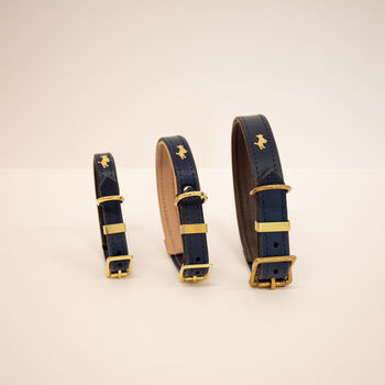 Personalised Padded Luxury Leather Dog Collar, 12 of 12